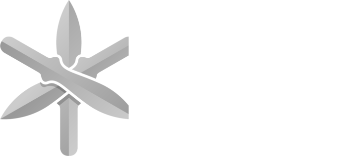 TRIUM Security Consulting